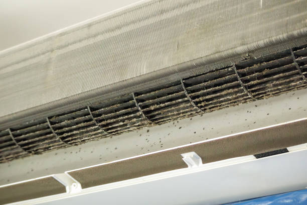 Best HVAC Air Duct Cleaning  in Valenti, NE